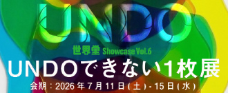 ★UNDOできない1枚展DP