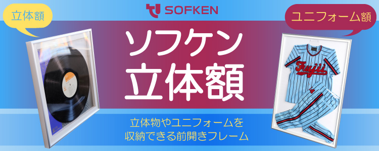ソフケン 立体額 ユニフォーム額
