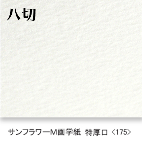 ミューズ】サンフラワーA画学紙の通販|紙・イラストボード