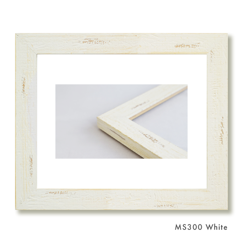 セオフレーム [MS300] ホワイト