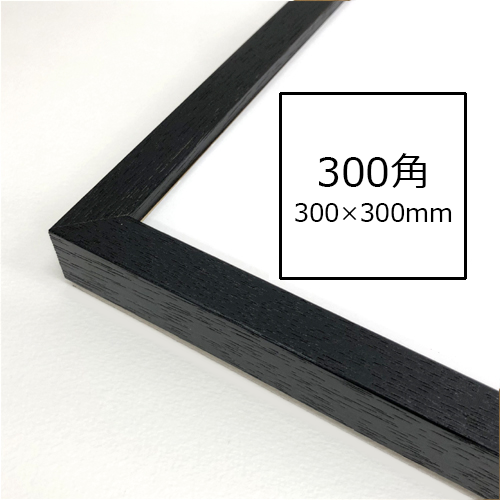 世界堂】アイナ＜ブラック＞の通販|水彩・写真・デッサン額の通販なら