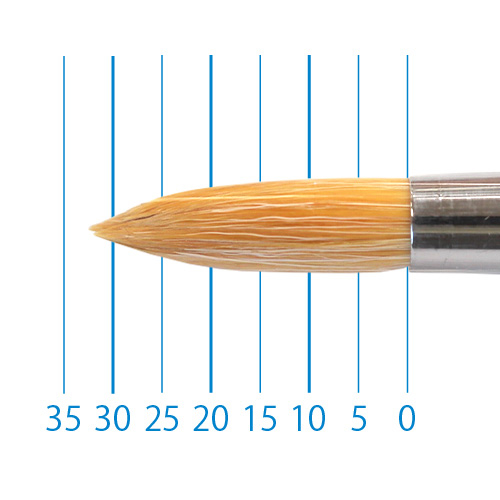 ミューズ】ミューズ ホワイトワトソン ツインリングブック【超特厚口