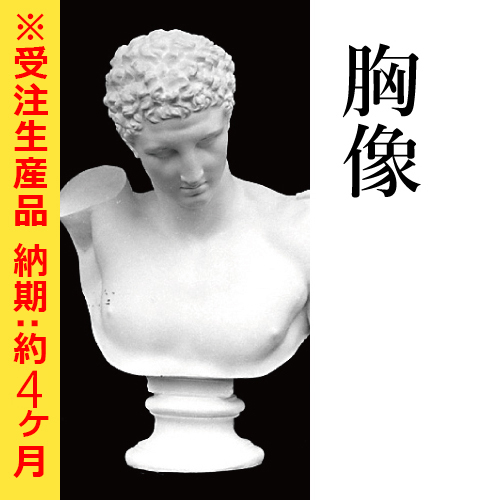 石膏像 シセロ胸像 www.ch4x4.com