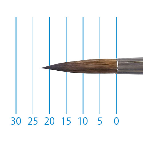 W&N series7 ラウンド コリンスキー 水彩筆 4本セット 中古 Amazon | Winsor & Newton ウィンザー&ニュートン 水彩用筆