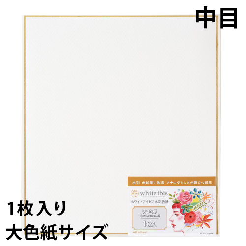 専用◆中色紙 ミューズ】ミューズ 色紙パック ホワイトワトソンの通販|紙類